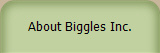 About Biggles Inc.