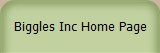 Biggles Inc Home Page